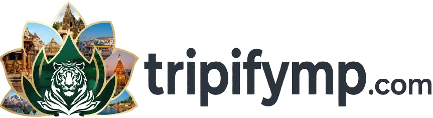 tripifymp Logo